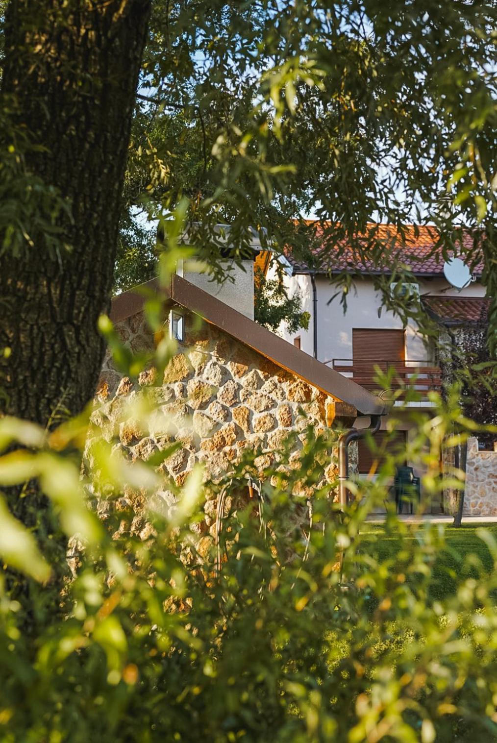 Villa Leko Dream House Cetina エクステリア 写真